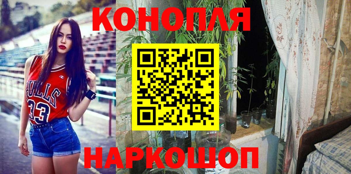 Конопля гибрид  Вход с VPN  Конопля LSD WEED  Бошки Шишки план  Губкинский  Бошки Шишки сатива 